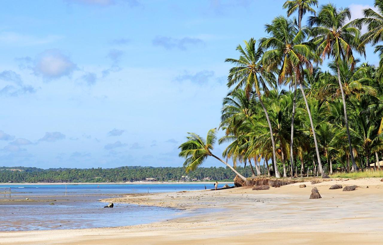 Eco Pousada Paraiso Dos Coqueirais Japaratinga Exterior foto