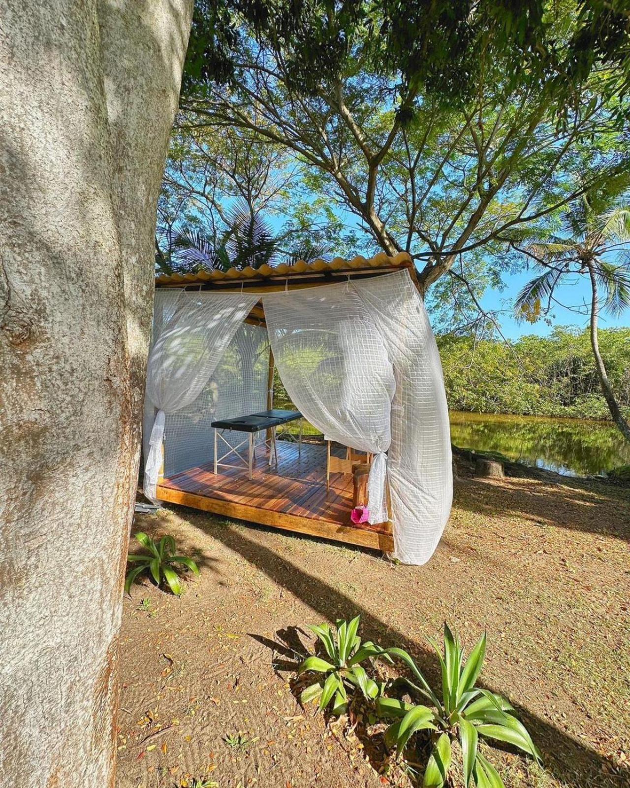 Eco Pousada Paraiso Dos Coqueirais Japaratinga Exterior foto