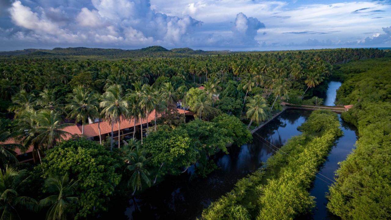 Eco Pousada Paraiso Dos Coqueirais Japaratinga Exterior foto