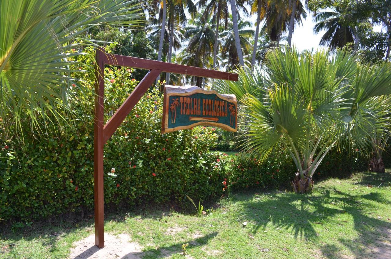 Eco Pousada Paraiso Dos Coqueirais Japaratinga Exterior foto